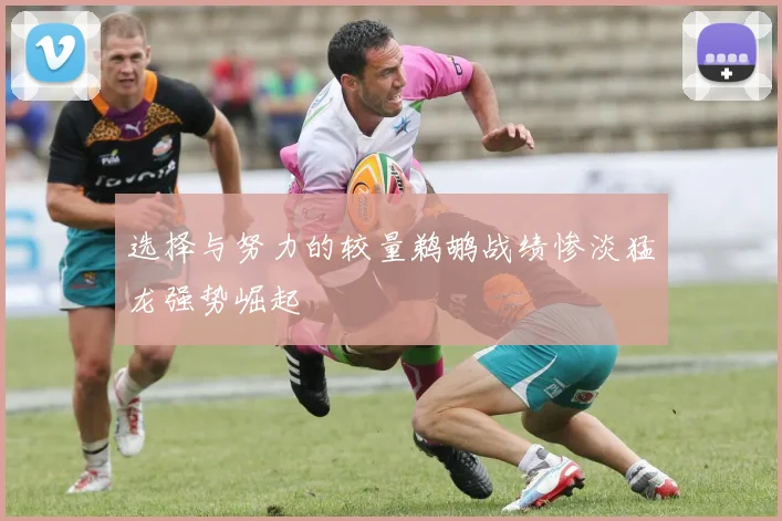 选择与努力的较量鹈鹕战绩惨淡猛龙强势崛起