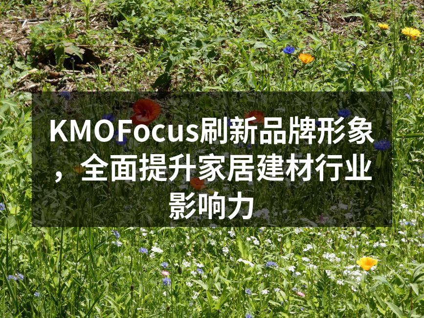 KMOFocus新品牌形象展示